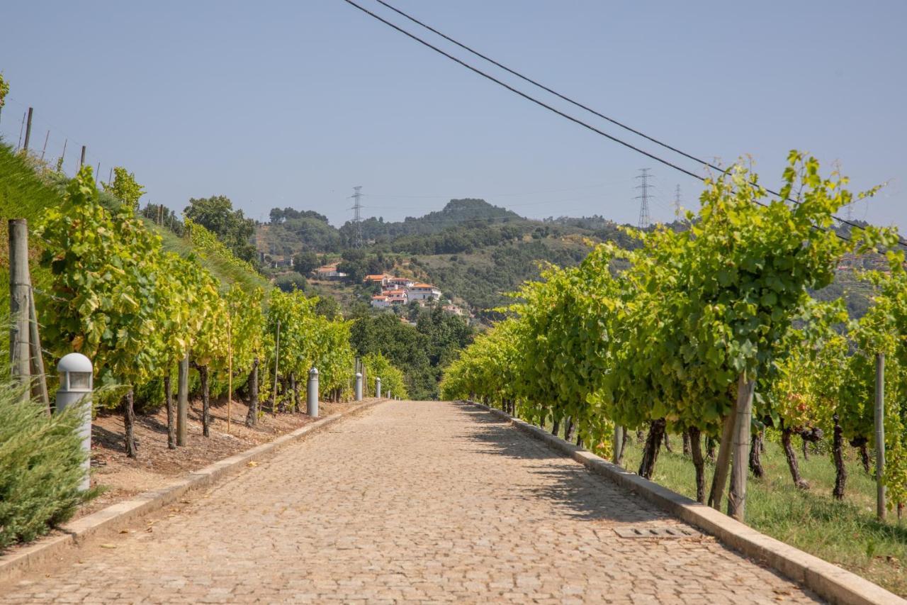 Quinta Da Granja Baião Exterior photo